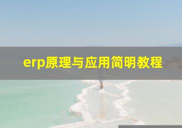 erp原理与应用简明教程