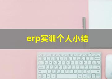 erp实训个人小结