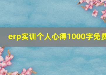 erp实训个人心得1000字免费