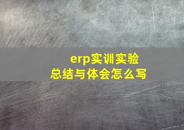 erp实训实验总结与体会怎么写