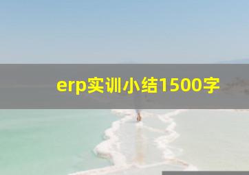 erp实训小结1500字