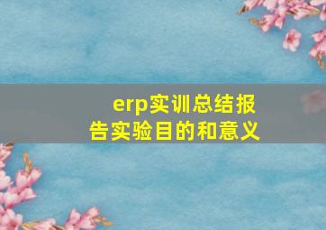 erp实训总结报告实验目的和意义