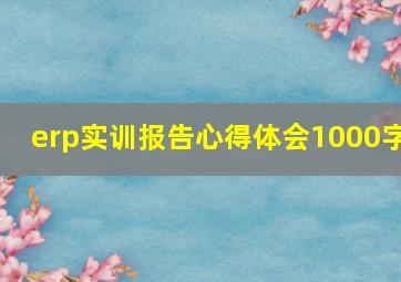 erp实训报告心得体会1000字