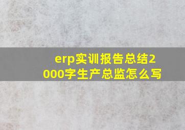 erp实训报告总结2000字生产总监怎么写