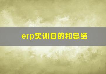 erp实训目的和总结