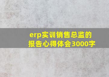 erp实训销售总监的报告心得体会3000字