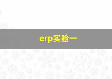 erp实验一