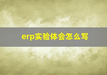 erp实验体会怎么写