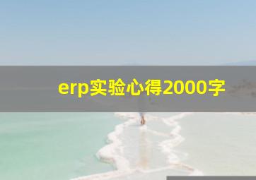 erp实验心得2000字