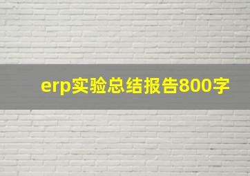 erp实验总结报告800字