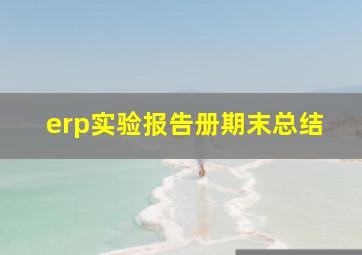 erp实验报告册期末总结