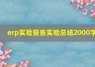 erp实验报告实验总结2000字