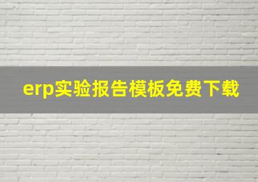 erp实验报告模板免费下载