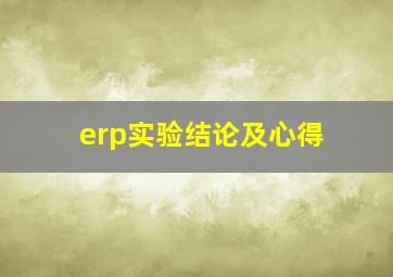 erp实验结论及心得