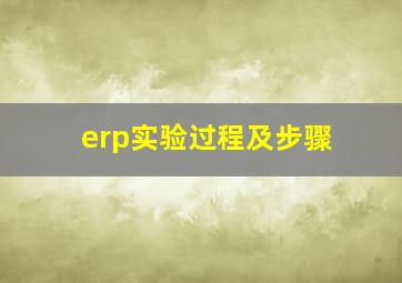 erp实验过程及步骤