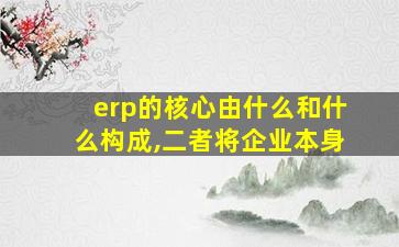 erp的核心由什么和什么构成,二者将企业本身