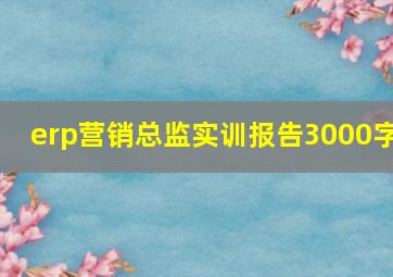 erp营销总监实训报告3000字