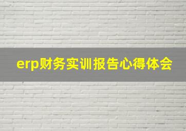 erp财务实训报告心得体会