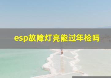 esp故障灯亮能过年检吗