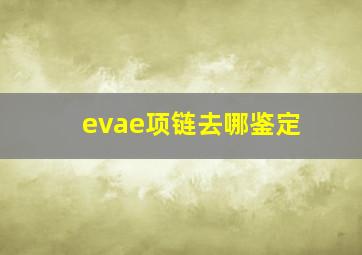 evae项链去哪鉴定