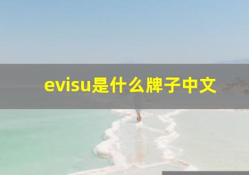 evisu是什么牌子中文