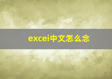 excei中文怎么念