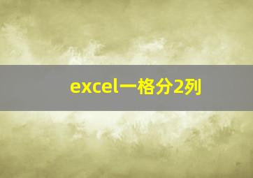 excel一格分2列