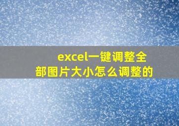 excel一键调整全部图片大小怎么调整的