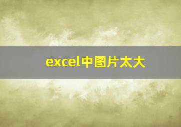 excel中图片太大