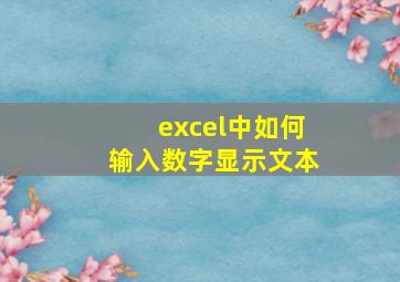 excel中如何输入数字显示文本