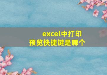 excel中打印预览快捷键是哪个