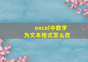 excel中数字为文本格式怎么改