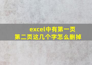 excel中有第一页第二页这几个字怎么删掉