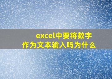 excel中要将数字作为文本输入吗为什么