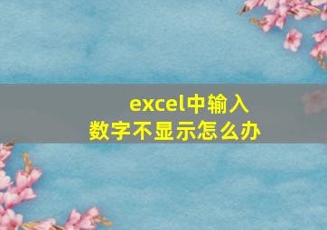 excel中输入数字不显示怎么办