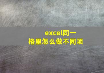 excel同一格里怎么做不同项