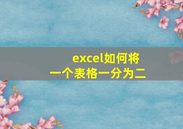 excel如何将一个表格一分为二