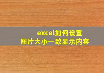 excel如何设置图片大小一致显示内容