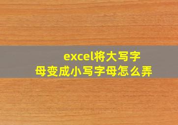 excel将大写字母变成小写字母怎么弄