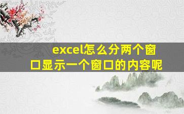 excel怎么分两个窗口显示一个窗口的内容呢