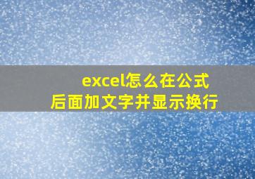 excel怎么在公式后面加文字并显示换行