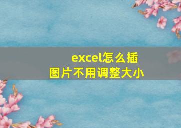 excel怎么插图片不用调整大小