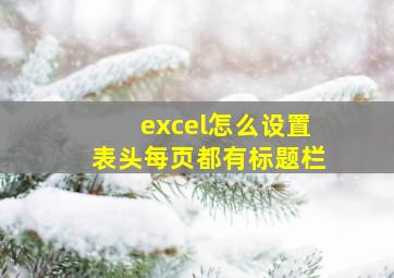 excel怎么设置表头每页都有标题栏