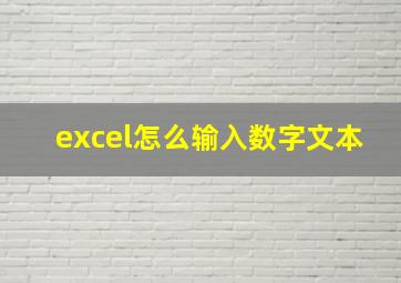 excel怎么输入数字文本