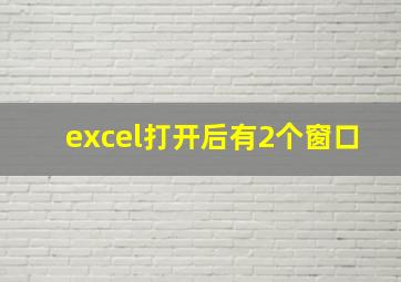 excel打开后有2个窗口