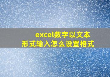 excel数字以文本形式输入怎么设置格式