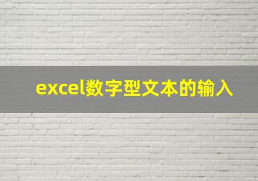 excel数字型文本的输入