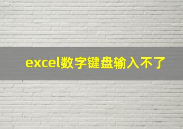 excel数字键盘输入不了