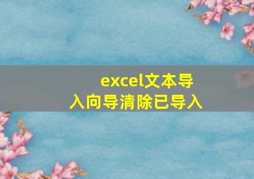 excel文本导入向导清除已导入