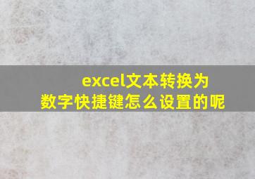 excel文本转换为数字快捷键怎么设置的呢